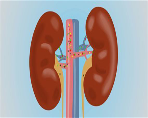 代生儿子电话：试管胚胎移植后5天能吃鸭肉喝鸭汤吗？