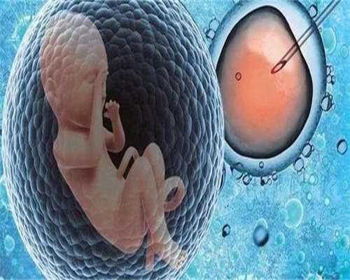 东莞借腹生子中介,东莞试管成功率排名：看看东莞有多少医院