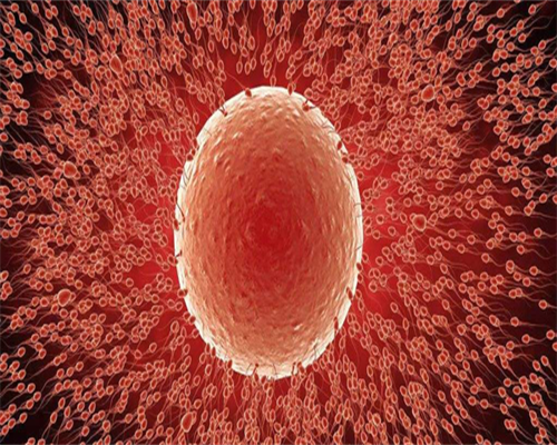 东莞代怀推荐,东莞广济医院试管第三代术带你走进不一样的世界