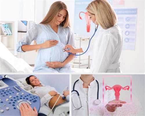 代孕套餐优惠：卵泡椭圆和圆形的区别