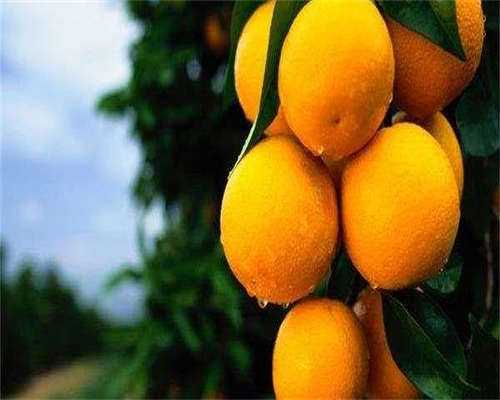 东莞代怀套餐,东莞试管包生男多少钱？去东莞做试管生男孩贵吗？