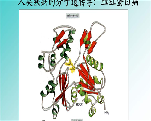 东莞如何自己助孕,东莞最有名试管婴儿医院这些医院试管婴儿比较好