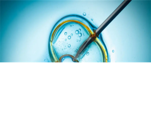 东莞捐卵公司机构,东莞康华医院供卵试管怎么样？东莞能做供卵试管吗？