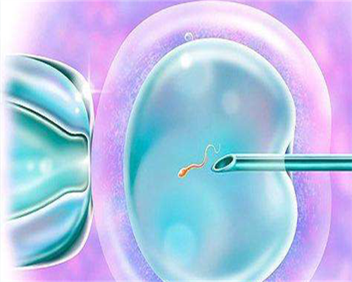 东莞借腹生子中介,东莞试管成功率排名：看看东莞有多少医院