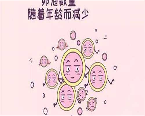 东莞代怀孕介绍,东莞试管成功率排名：看看东莞有多少医院