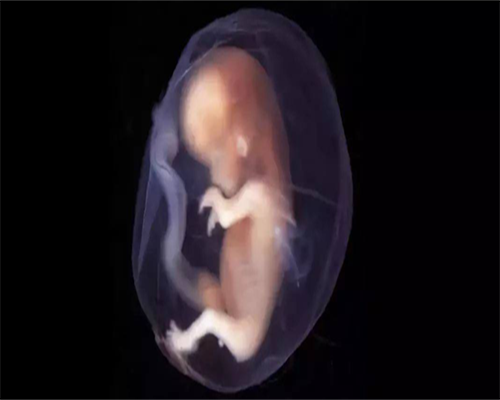 东莞代生哪里找,东莞第三代试管婴儿最好？