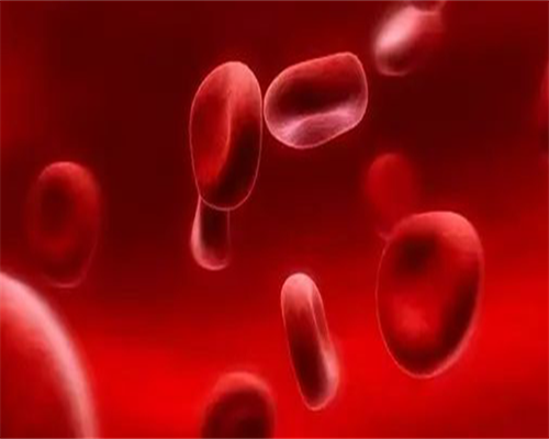 东莞三代试管机构：2026费用明细可参考