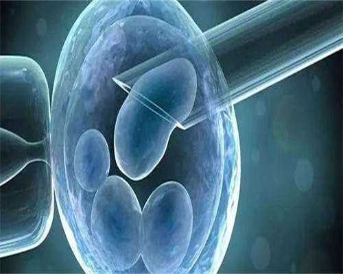 东莞代生套餐,东莞试管包生男多少钱？去东莞做试管生男孩贵吗？