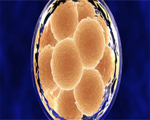 东莞助孕怎么受孕,东莞市第三人民医院试管婴儿怎么样？试管成功率高吗？