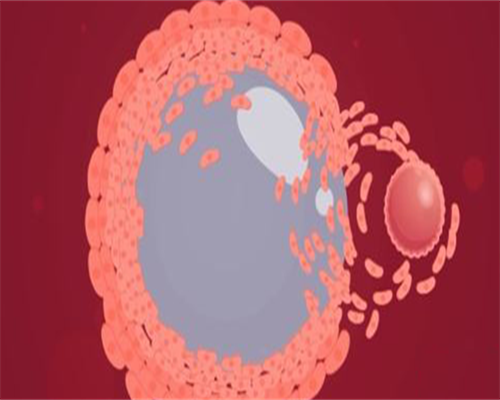 东莞代生套餐,东莞试管包生男多少钱？去东莞做试管生男孩贵吗？