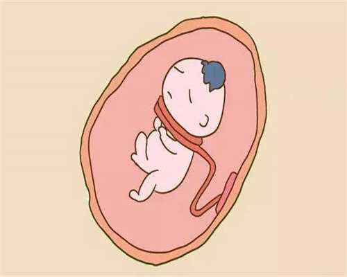 东莞供卵专业中心,东莞试管婴儿医院排名?成功率高的医院有哪些?