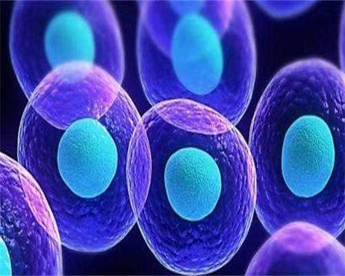 东莞三代试管助孕价格,东莞第三代试管婴儿医院费用多少？