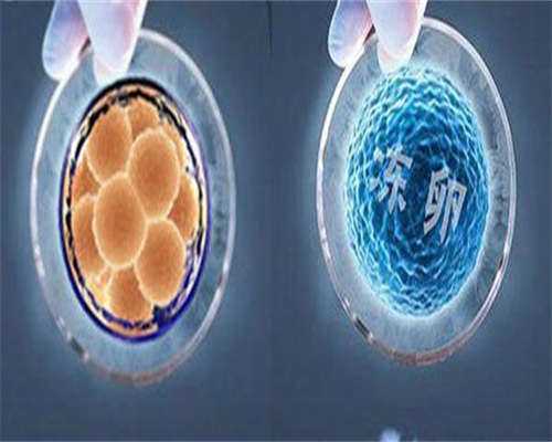 东莞试管助孕价格,东莞第三代试管婴儿医院费用多少？