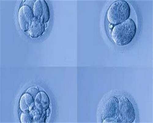 东莞靠谱试管助孕,东莞私人医院三代试管包生男孩价格多少？费用8万可信吗？