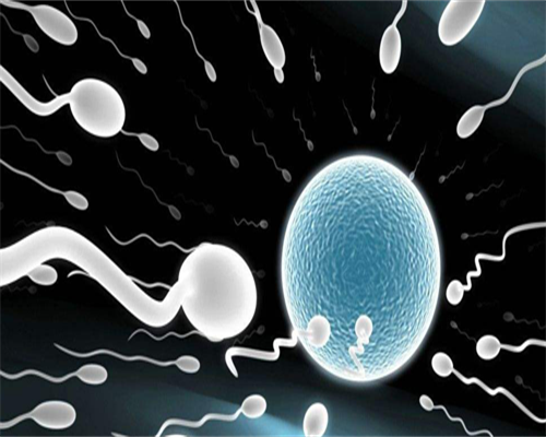 东莞三代试管助孕价格,东莞第三代试管婴儿医院费用多少？