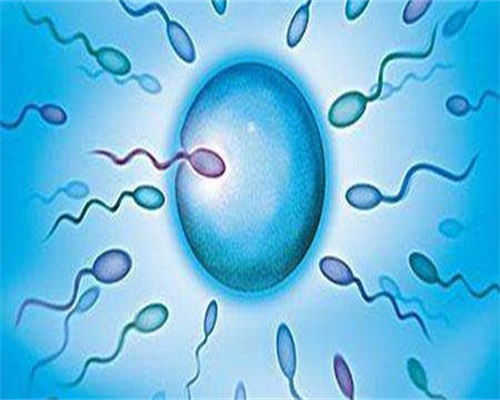 东莞代怀孕介绍,东莞试管成功率排名：看看东莞有多少医院