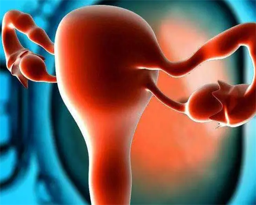 东莞借腹生子中介,东莞试管成功率排名：看看东莞有多少医院