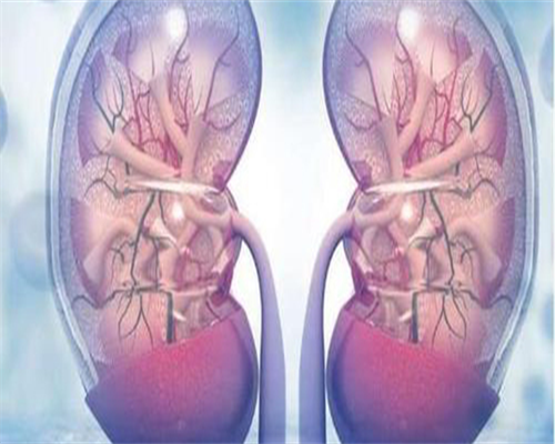 东莞试管助孕机构,东莞妇幼试管费用贵不贵？附东莞试管助孕机构费用