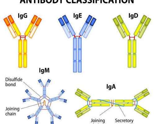 东莞试管助孕机构,东莞妇幼试管费用贵不贵？附东莞试管助孕机构费用