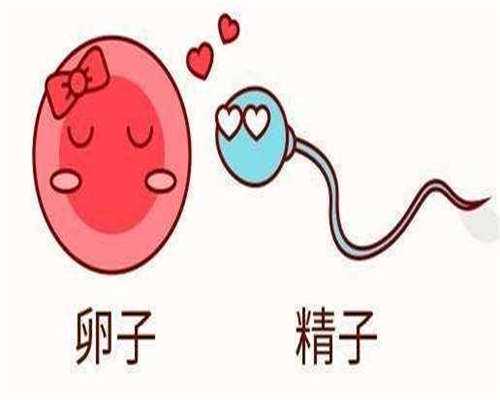 东莞爱心代怀,东莞第三代试管婴儿成功率高吗？