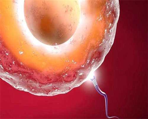 东莞供卵,东莞康华医院供卵试管怎么样？东莞能做供卵试管吗？