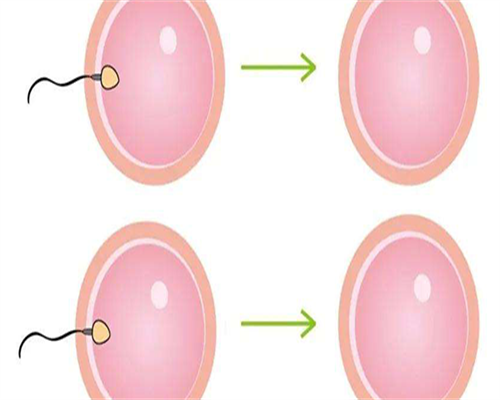 东莞试管助孕价格,东莞第三代试管婴儿医院费用多少？