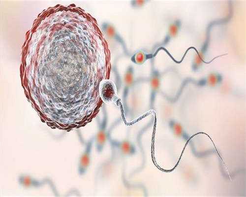 东莞试管助孕机构,东莞妇幼试管费用贵不贵？附东莞试管助孕机构费用