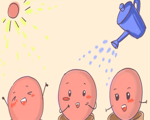 东莞借腹生子中介,东莞试管成功率排名：看看东莞有多少医院