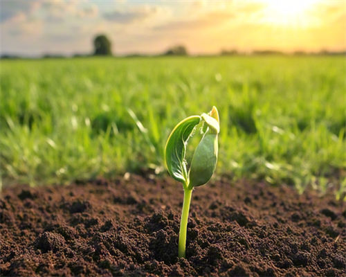 东莞供卵成功率多少,东莞试管成功率排名：看看东莞有多少医院