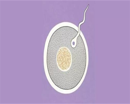 内膜14mm做试管移植的成功率高吗?