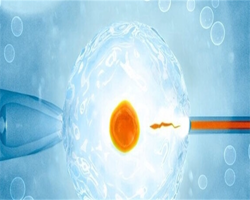 专业海外合法代孕_靠谱代孕案例,做试管婴儿胚胎移植后，胚胎在子宫内经历了