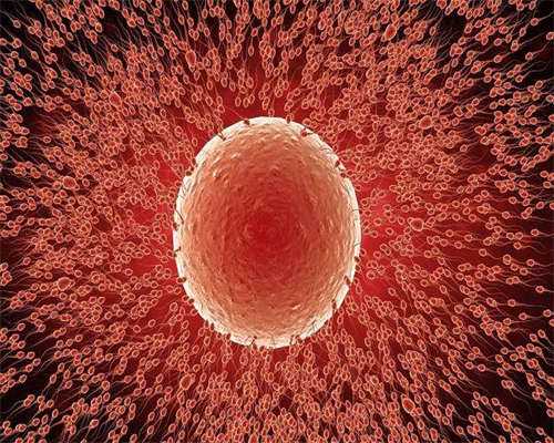 东莞三代试管的公司排行榜