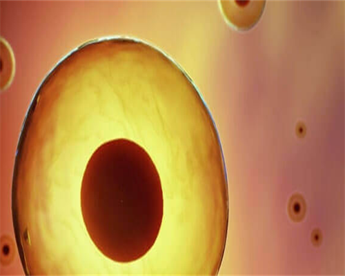 东莞借腹生子中介,东莞试管成功率排名：看看东莞有多少医院