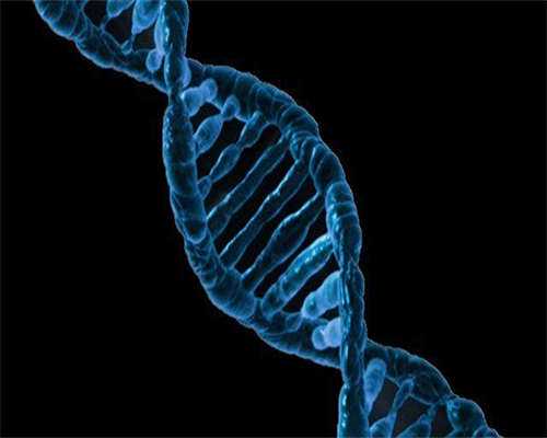 广东供卵靠谱，广东哪里能做供卵试管