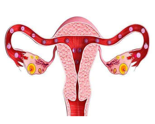 东莞双城三代试管婴儿费用明细，成功率有多大！