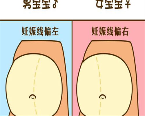 胚胎移植后，吃什么食物会让受精卵更容易着床？