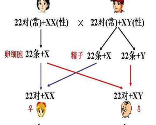 中国生殖中心在哪里_试管宝宝生儿子费用高吗,【男性少精不育症的防治】防大