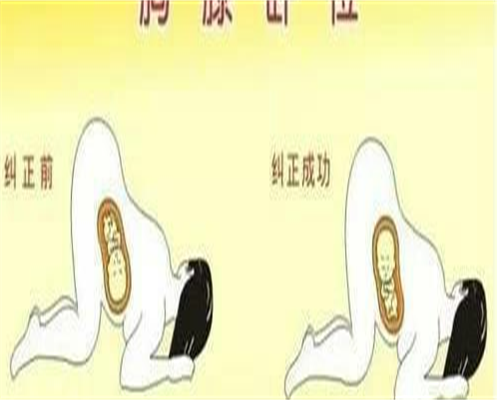 代生儿子收费：女性备孕多久不能抽烟