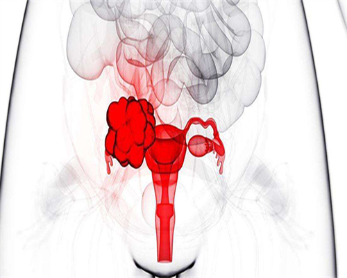 珠海做试管婴儿要多少钱，费用5万元够吗？