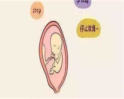 第三代试管医院：珠海、茂名、东莞，广东可以做供卵试管婴儿吗？