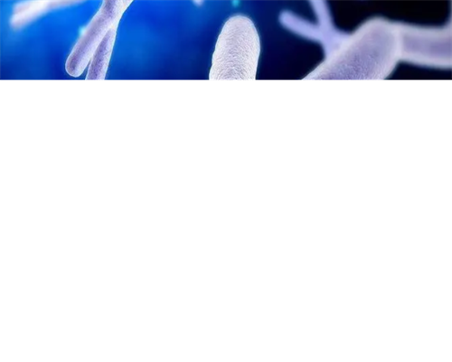 东莞捐卵的大学生，东莞试管婴儿医院排名？附东莞试管婴儿医院详情！