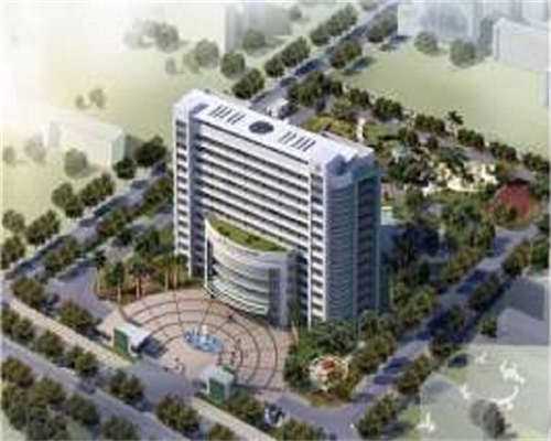 北京试管供卵代生男孩，北京权威代生网