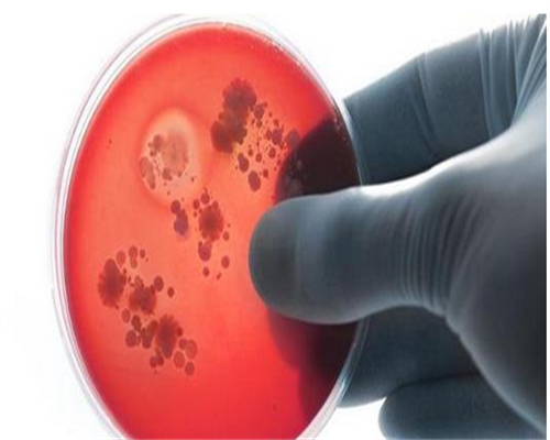 冻卵复苏后和新鲜卵子一样吗？冻卵做试管成功率高吗？