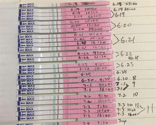 北京供卵代怀哪家专业，北京代怀代生孩子