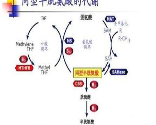 东莞试管婴儿价格咨询？对比东莞试管婴儿机构差异