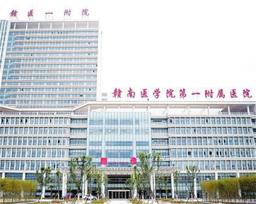 东莞可以助孕的试管中介有哪些