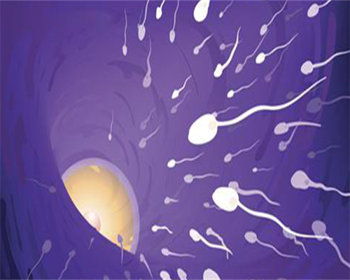 益玛欣黄体酮胶囊和琪宁哪个好？琪宁黄体酮和益玛欣的区别