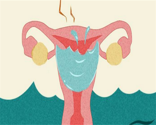 私人试管代怀-女性排卵期的变化(到医院监测卵泡痛吗？)