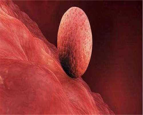 病毒性疱疹会影响胎儿吗？能做试管避免吗？