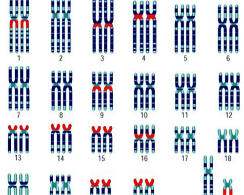 东莞代生套餐,东莞试管包生男多少钱？去东莞做试管生男孩贵吗？